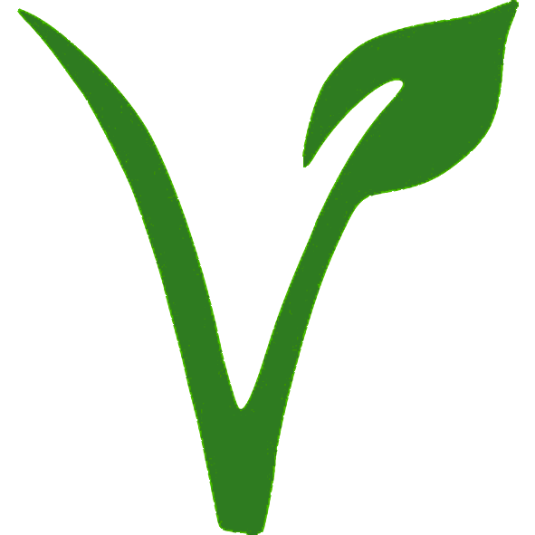 Vegetariano Vegetariano